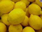Lemons 50CT