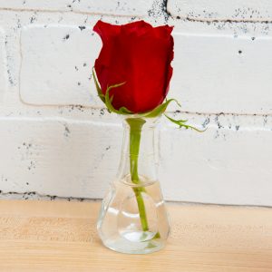 Decanter/Carafe  1.5OZ H3.5" Bud Vase  Pinch 12DZ